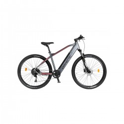 29'' E-bike Orient Ultra 1.0