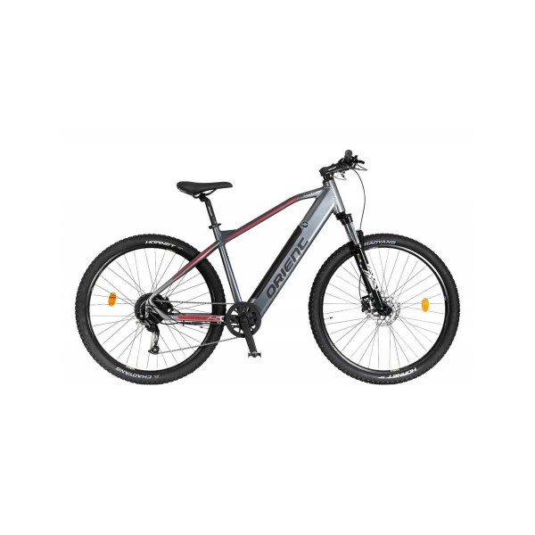 29'' E-bike Orient Ultra 1.0 29'' E-bike Orient Ultra 1.0
