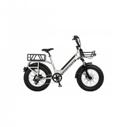 20'' E-bike Orient Fat Boy