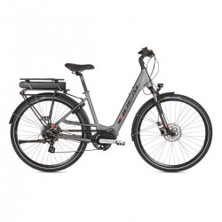 28'' E-bike Ideal FUTOUR-E508