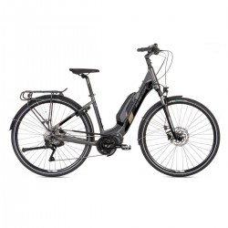 28'' E-bike Ideal FUTOUR-E509 Cues